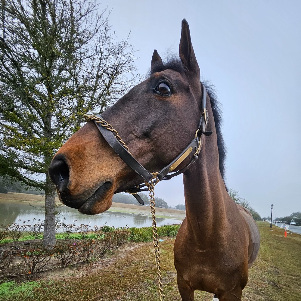 Meet your Posher, Leah